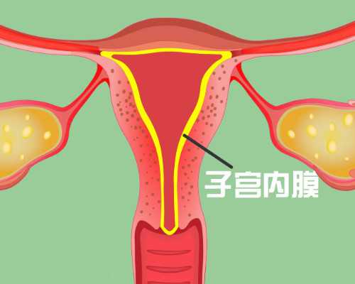 上海添喜助孕地址[供卵代生女孩],北京协和医院试管婴儿流程，费用多少