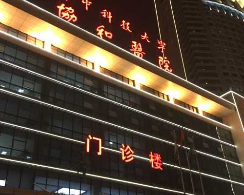 试管婴儿是什么时候进入国内的