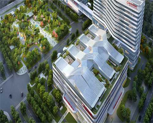 代生宝宝抱儿子,北京合法供卵试管中心有哪些？过程是怎样的？_促甲状腺多少