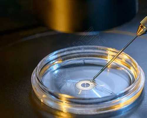 正规代生中心价格_代生费用为多少|惠州试管婴儿医院大全，2026三代试管费用与