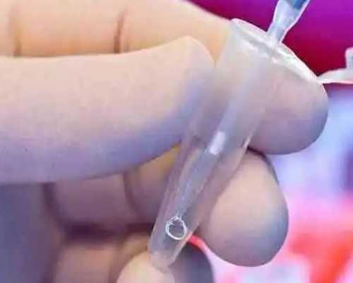 怀孕备孕需注意哪些_育儿师和育婴师区别,请问备孕中男人吃什么容易怀女儿？