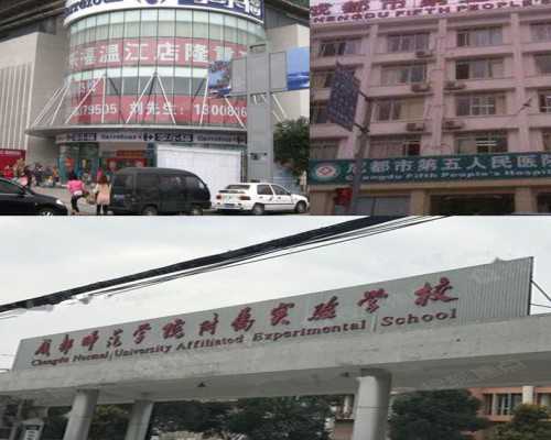 助孕代怀*泰国试管婴儿30天行程规划参考