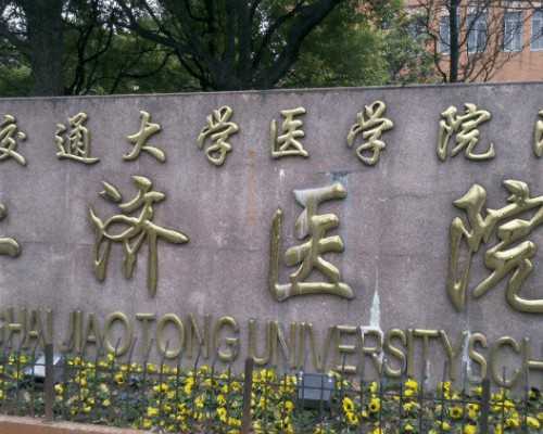 供卵代怀机构*泰国做试管医院，泰国做试管医院优孕行电话多少