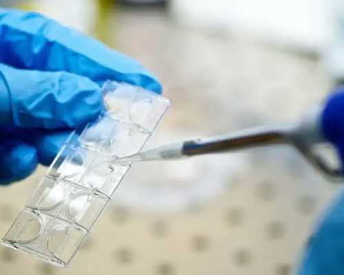 代生子包男孩价格_代生费用|克拉玛依本地医院能做试管婴儿吗