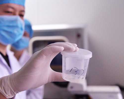 代孕的危害有多大-漠河站